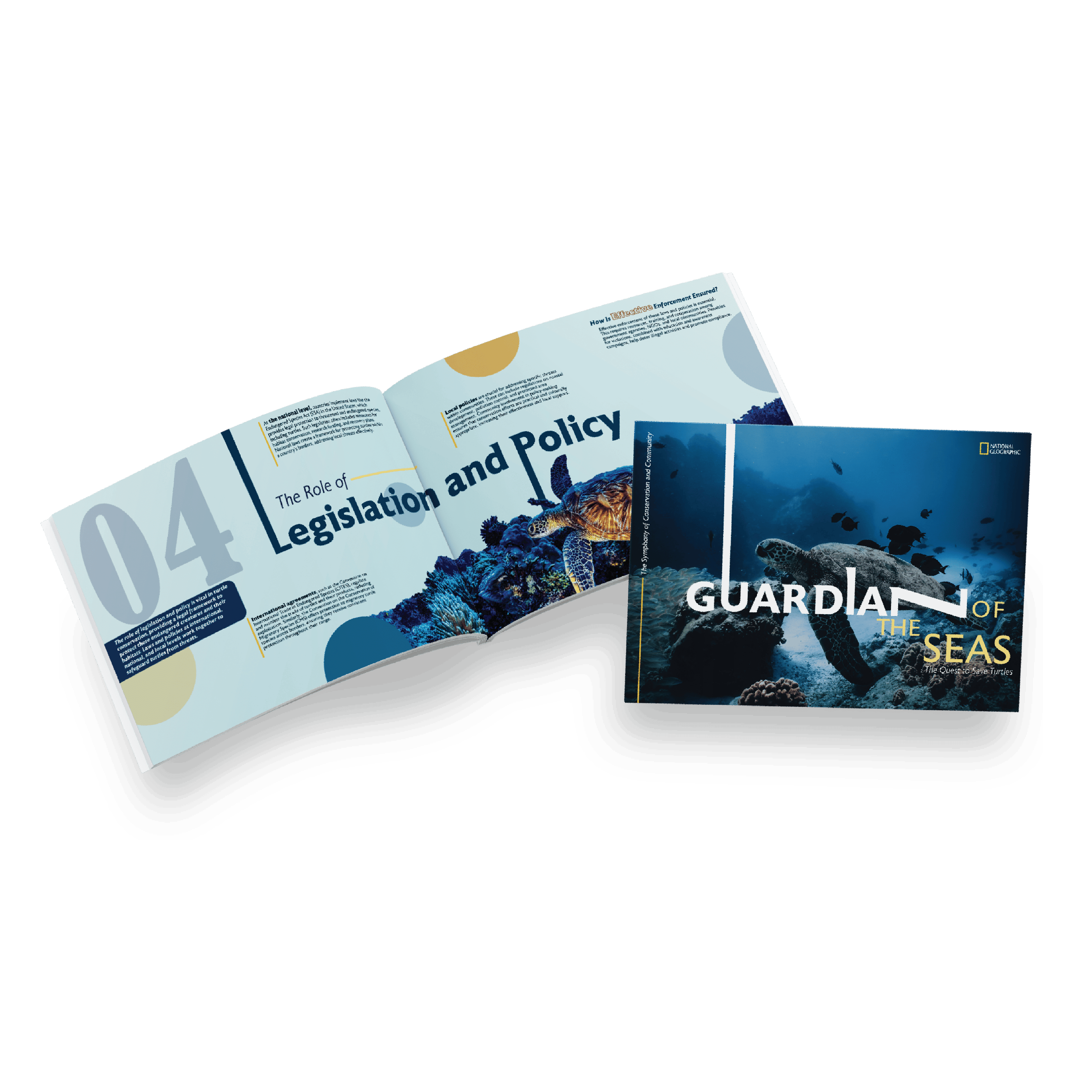 Character Cards